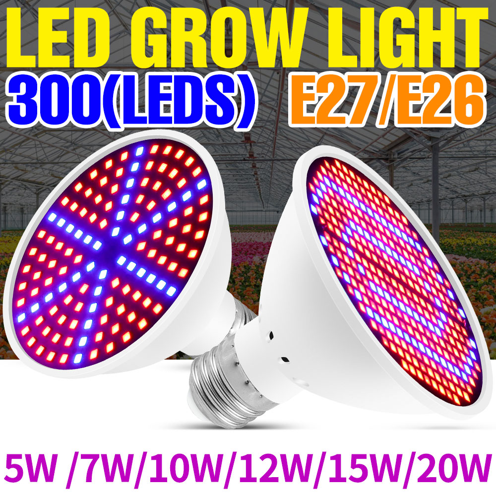 25W E27 Full Spectrum LED Plan - Echeveria Succulent 评论和价格