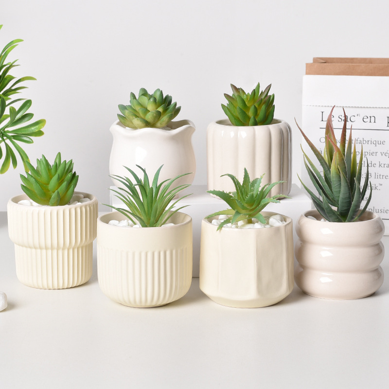 Ceramic Self-Watering Succulen - Echeveria Succulent 评论和价格