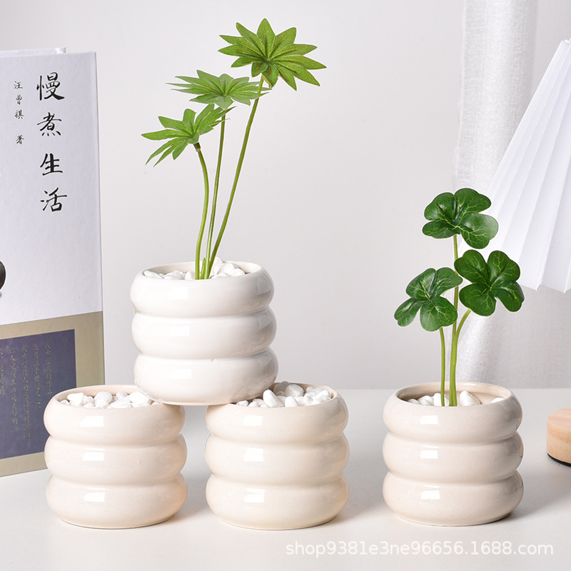 Ceramic Self-Watering Succulen - Echeveria Succulent 评论和价格