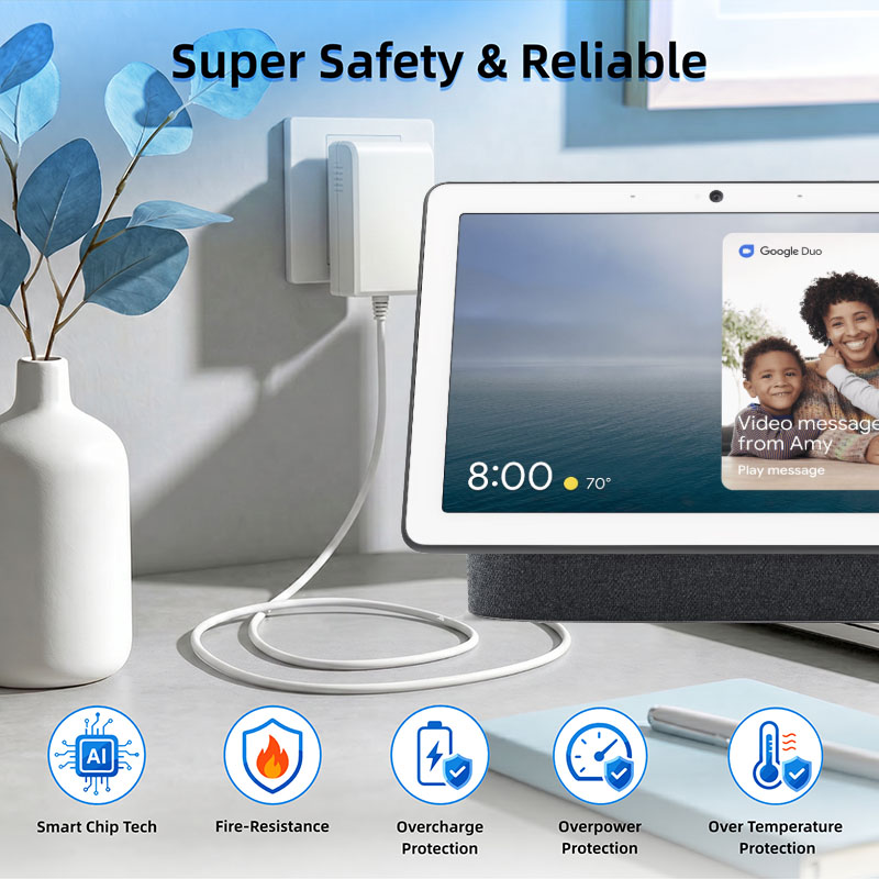 24V Power Supply Adapte for Go - Google Speaker Nest Audio 评论和价格